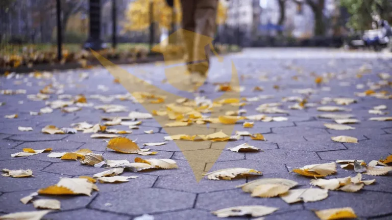 Falling Leaves Make the Way