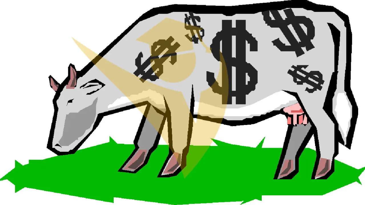 “Cash Cow”