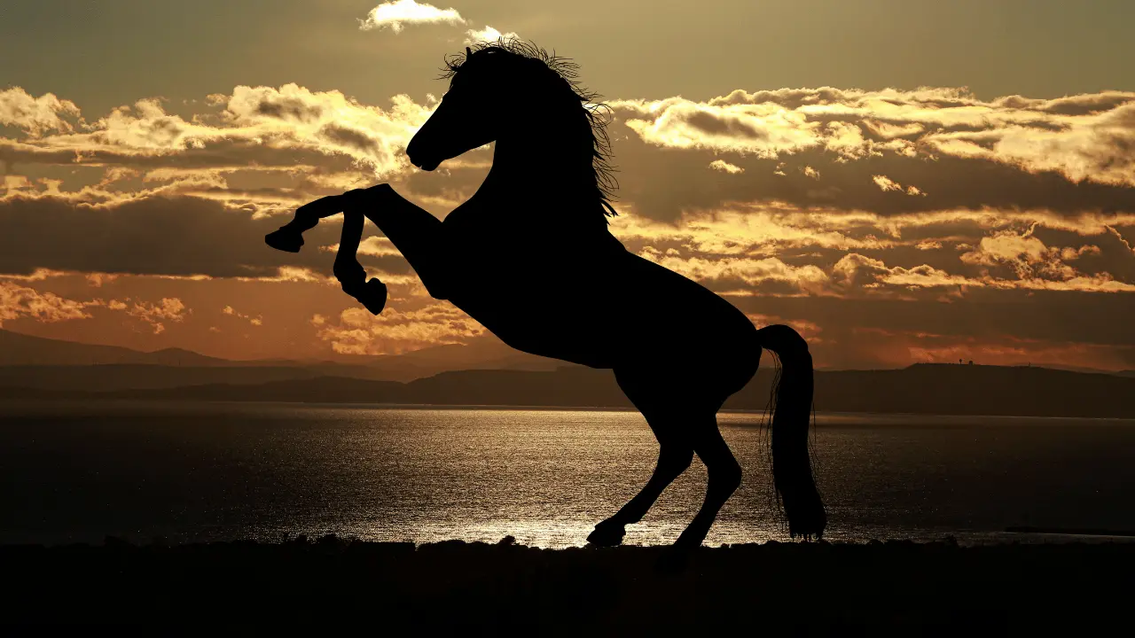 A Galloping Horse