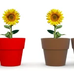 Metaphors for flowers