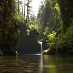 Metaphors for Nature