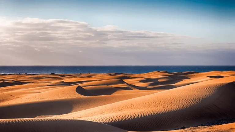 Echoes in the Dunes