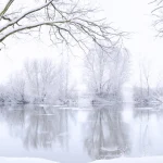 Metaphors For Winter,