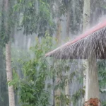 Metaphors for Rain