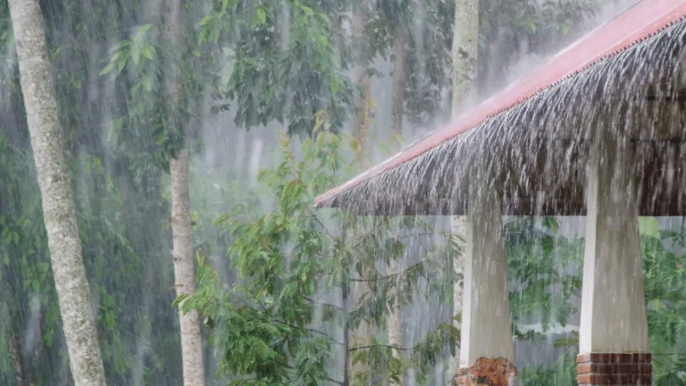 30 Such Metaphors For Rain, Which Ways to Use the Rain to Change Your Life
