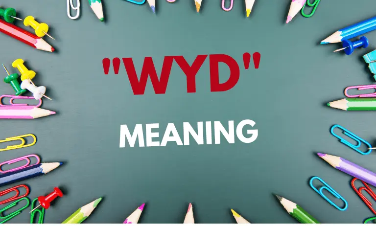 WYD Word Meaning