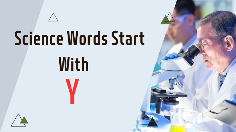 216 Science Words Start With Y Which Relate Every Grade