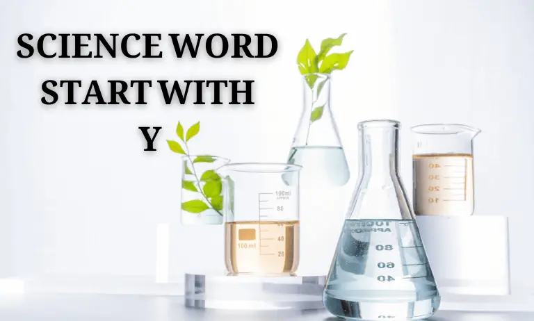 216 Science Words Start With Y Which Relate Every Grade