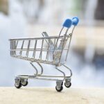 The Future of E-commerce