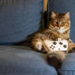The Evolution of Gaming