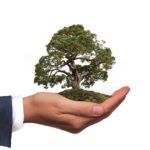 Environmental Milestones