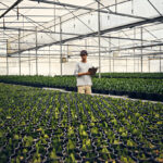 Eco-Friendly and Profitable: Navigating the Personal Care Industry