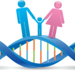 What Is the Role of Genetic Counseling in Adoption Cases?