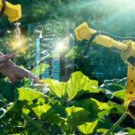 How AI is Transforming the Global Agricultural Industry