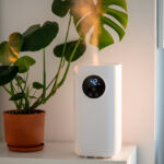 Smart Humidifiers Are a Game-Changer for Indoor Air Quality