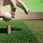 Provides Convenient Golf Practice