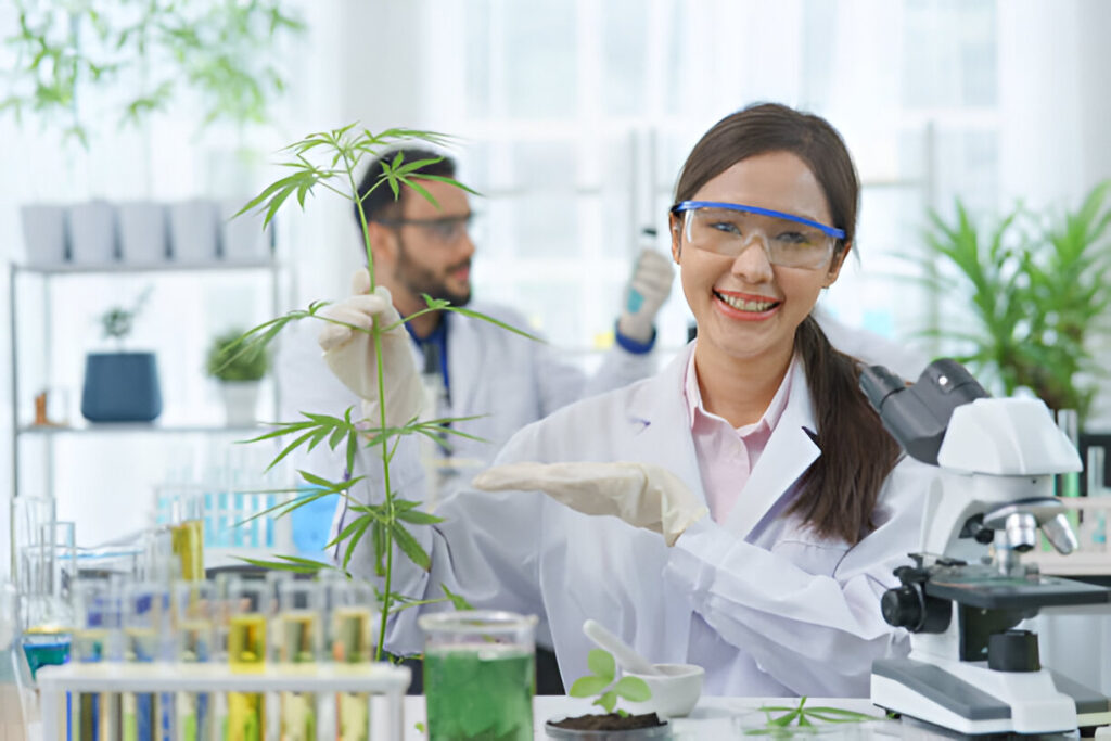 Integrating Medical Marijuana into Your Holistic Wellness Routine