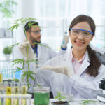 Integrating Medical Marijuana into Your Holistic Wellness Routine
