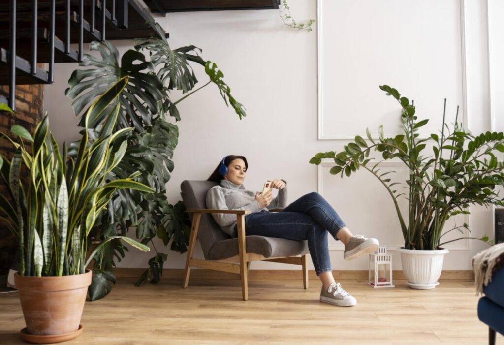 Sustainable Furniture