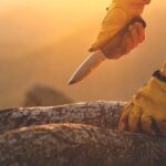 Life in a Wilderness Emergency