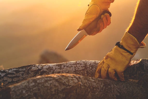 Life in a Wilderness Emergency