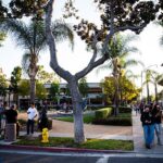 Take Action Against Mosquitoes in Fullerton