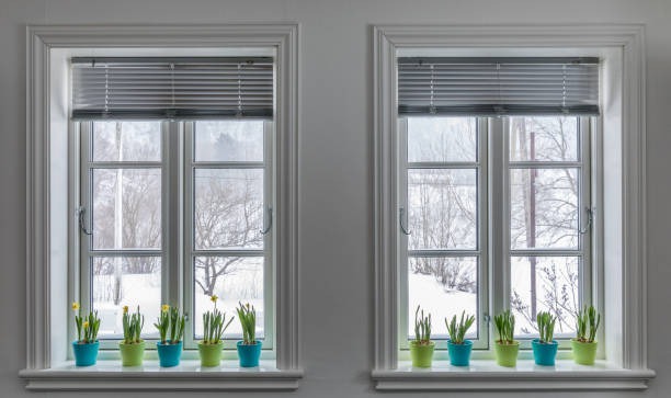 Home’s Energy Use