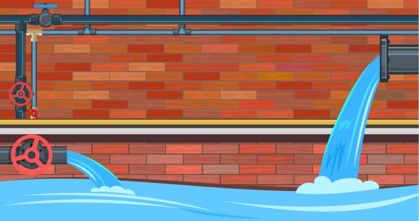 Long-Term Issues After Water Intrusion 