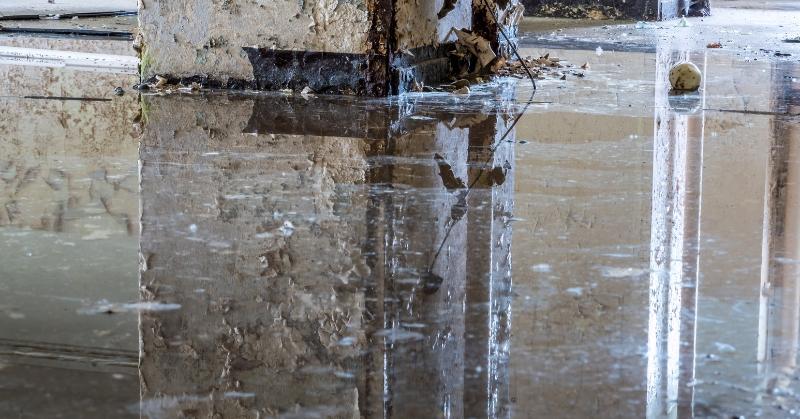 r Water Damage in Kansas City
