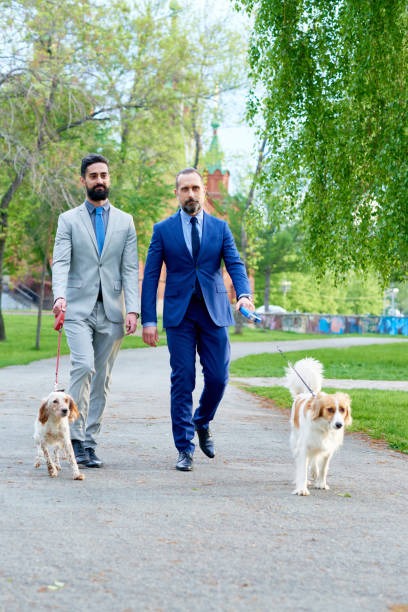Dog Walking Business Insurance