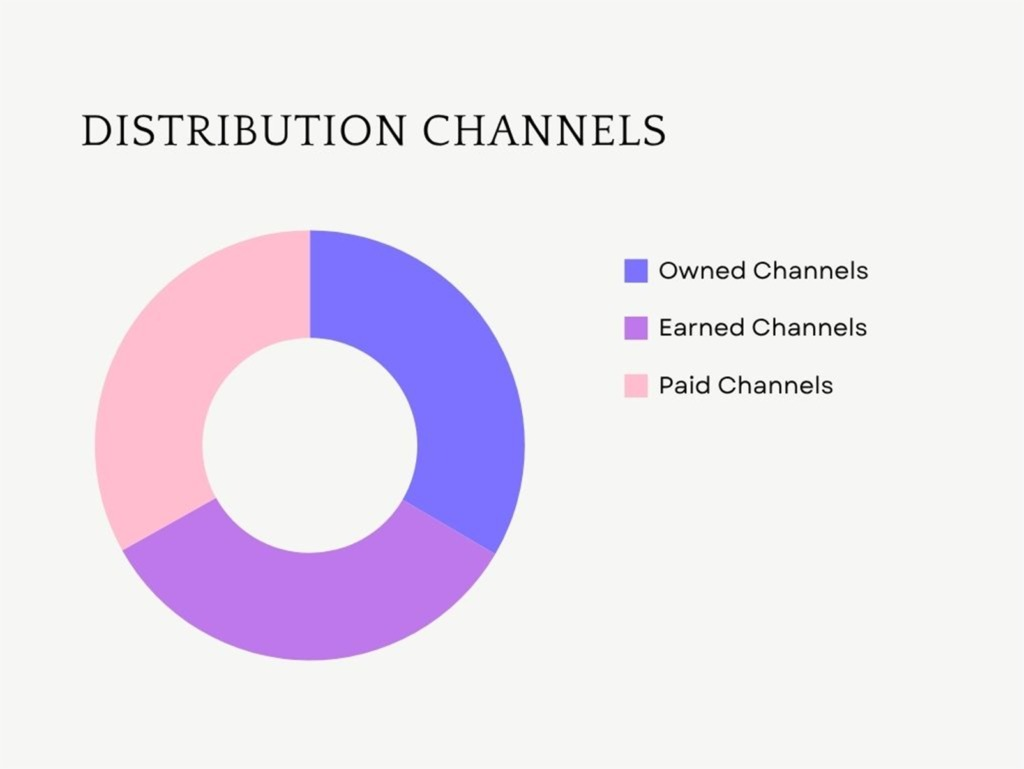 A diagram presenting the three distribution channels