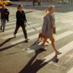 Pedestrian is Partially At Fault