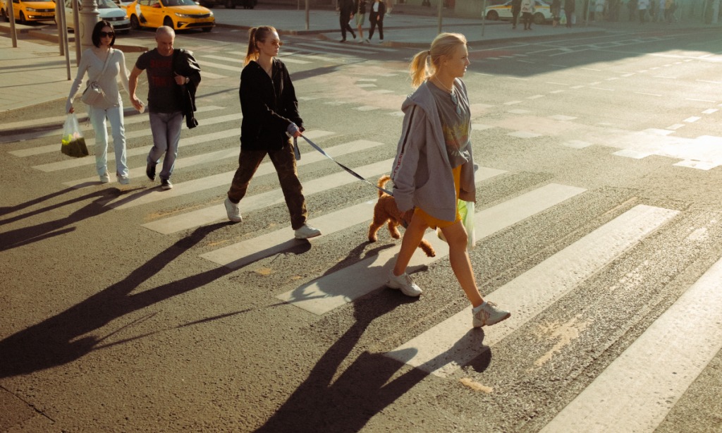 Pedestrian is Partially At Fault