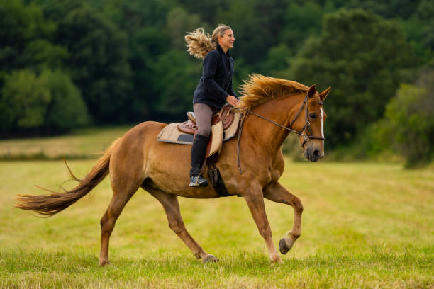 Horseback Riding