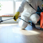 Effective Pest Management