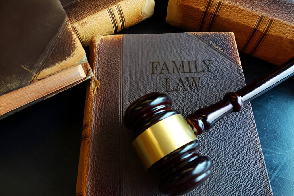 Family Lawyer in Complex Cases