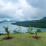 Monsoon Magic
