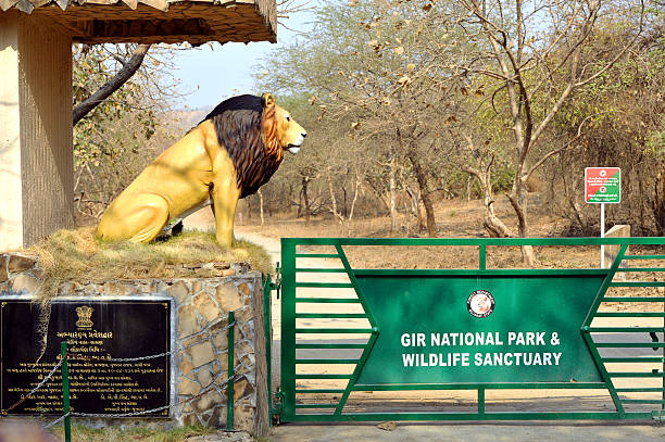 Wildlife in Gir National Park