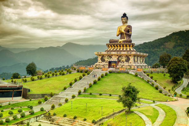 Best Buddha Tours Online for History Lovers
