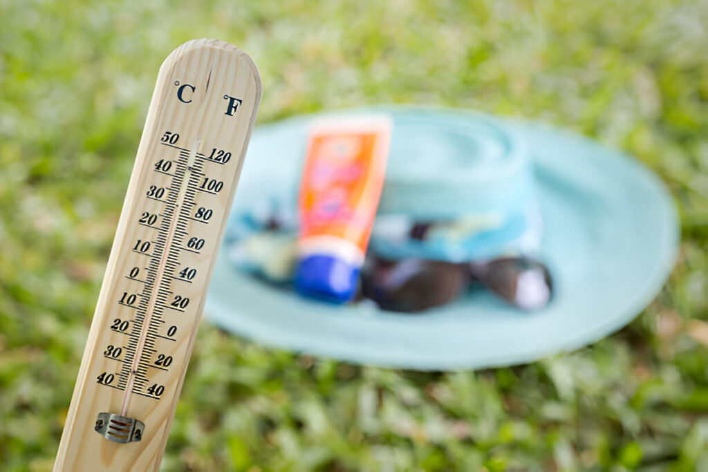 Survive the Southern Heat
