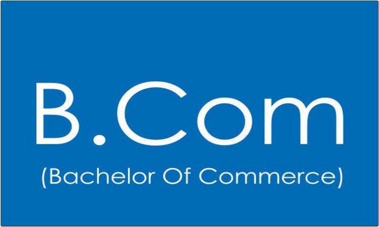 How a B.Com Degree Builds the Foundation for Business & Finance Careers