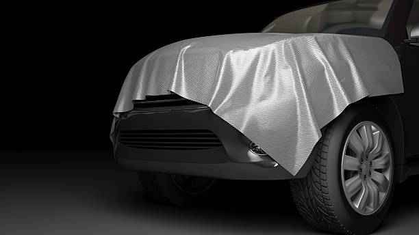 Vehicle Protection Oozing Style 