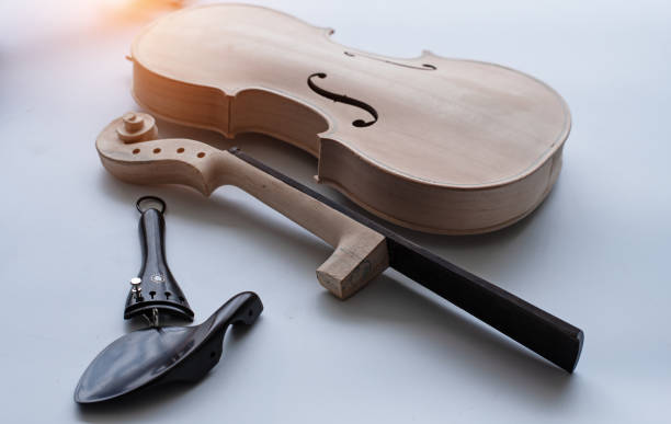 Anatomy of a Violin