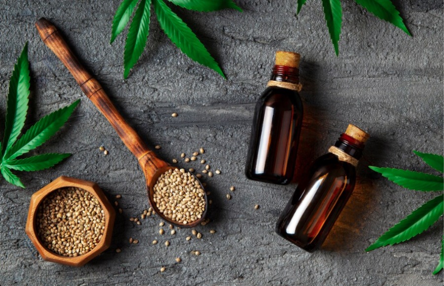 Why Khalifa Seed Packs Are Gaining Massive Attention Among Growers