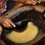 A beginner's guide to kava