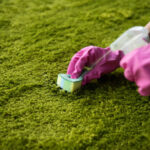 Grass Stains from Carpet