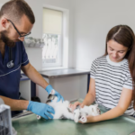 Animal Hospitals
