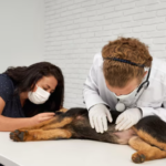Vets Detect