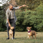 Dog Training