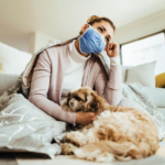 Foreign Body Blockages In Pets